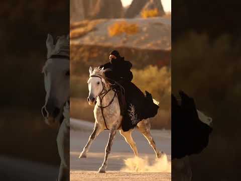 Russian Muslim Girl Lifestyle Fashion Beautiful Horse Free Online