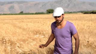 Majid Almohandis - Aldrbeel | ماجد المهندس - الدربيل