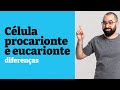 Célula procarionte e eucarionte: diferenças - Aula 15 - Módulo 1: Biologia Celular - Prof. Guilherme