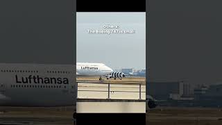 B747 isn‘t small #b747 #a320 #aircraft #shorts #viral #avgeeks #aviation
