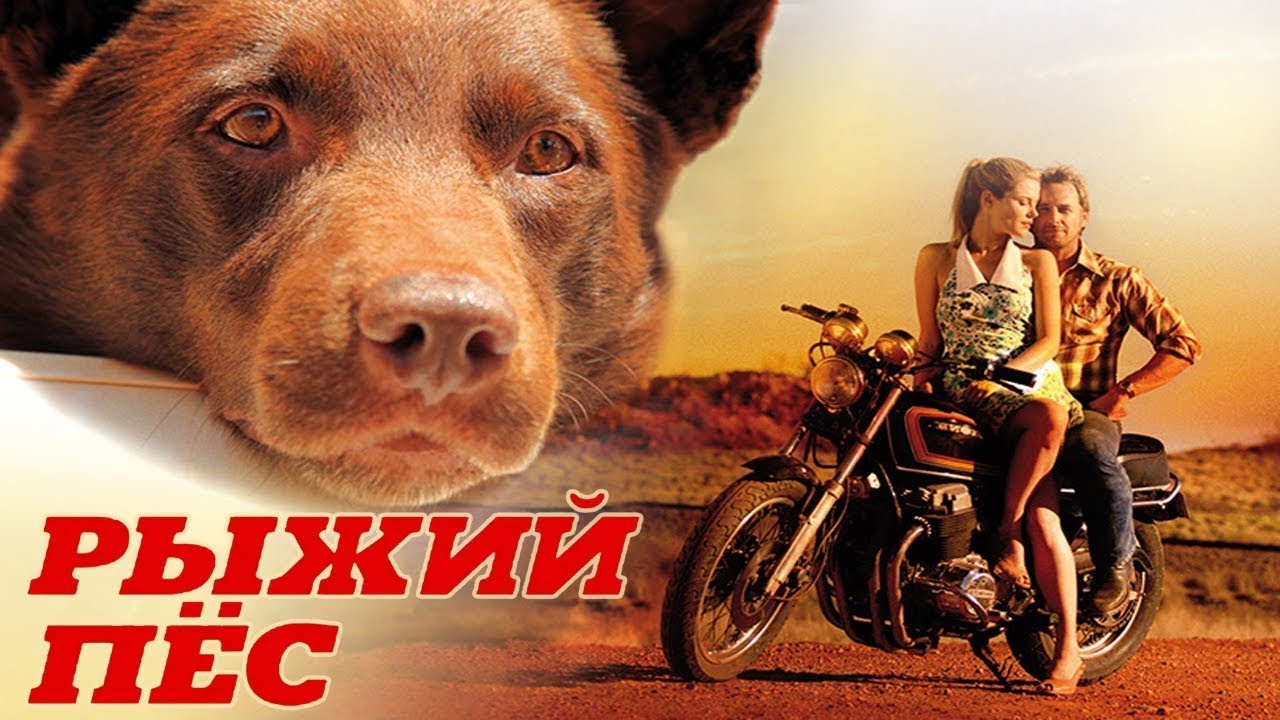 Фильм Рыжий Пес - Комедийная Мелодрама (2011)