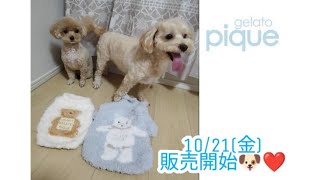 【ジェラピケ】キャット&ドッグ第二弾販売🍨