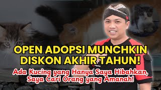OPEN ADOPTION & GRANTS FOR MUNCHKIN KITTENS Starting from IDR 500,000, Some are FREE!