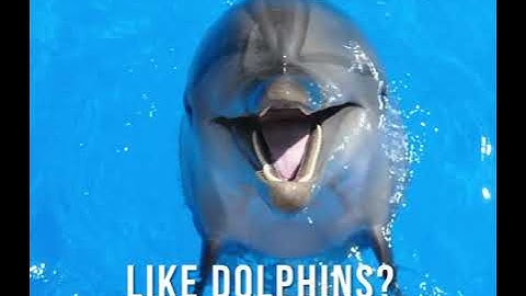 Coastline College Introduction 2021