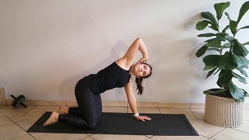 Four point kneeling rotation (Thoracic Mobility)