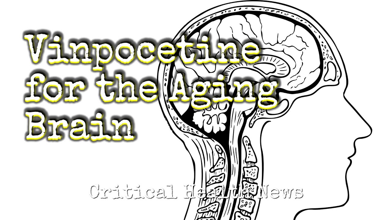 Vinpocetine for the Aging Brain - Pharmacist Ben Fuchs - Moment of Truth