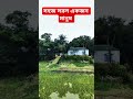 গ্রামের সহজ - সরল একজন মানুষ