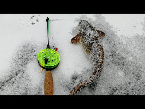 Щука на мормышку ))) Рыбалка 2018 Щука на мормышку ))) Рыбалка 2018