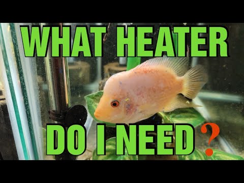 WHAT SIZE AQUARIUM HEATER DO YOU NEED? [EASY TRICK]