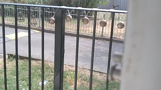 Incoming Thunderstorm Eastbourne Livestream