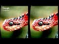 3D Extreme Effects 02 - Aquarium + Snake | 3D Side by Side SBS VR Virtual Reality