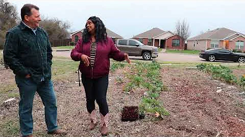 Interview With Community Gardener Tricia Ray