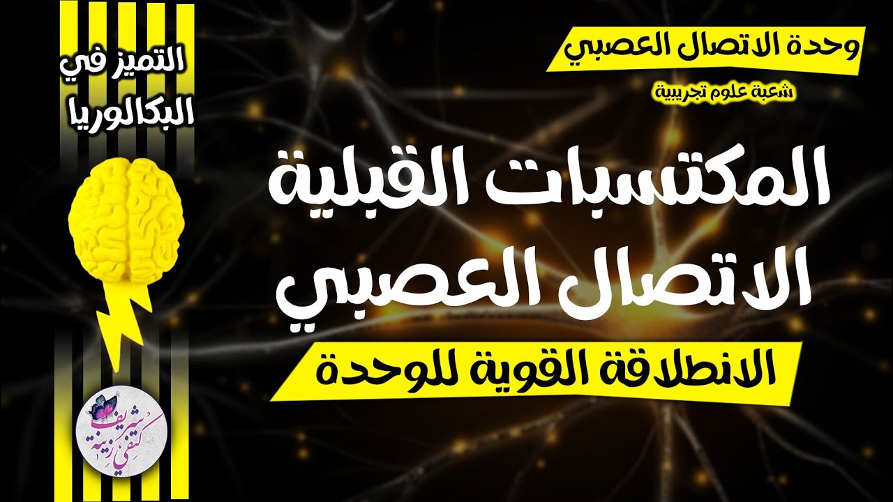 في الدقيقة 90🏅كل ماتحتاجه في الاتصال العصبي للانطلاقة القوية🔥| جديد بكالوريا 2025