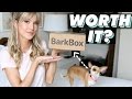 IS BARKBOX WORTH IT? | Luna's Borkbox Unboxing | LeighAnnSays