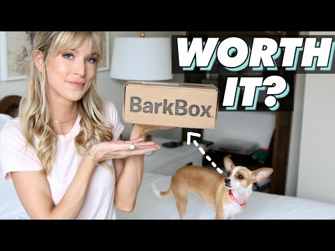 IS BARKBOX WORTH IT? | Luna&rsquo;s Borkbox Unboxing | LeighAnnSays