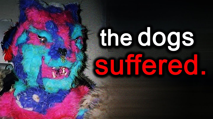 Most Disturbing Crimes That Happened In The Furry Community