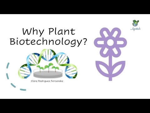 What Do You Mean By Plant Biotechnology