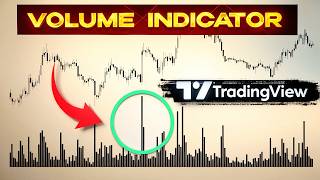 Best Volume Indicator on TradingView