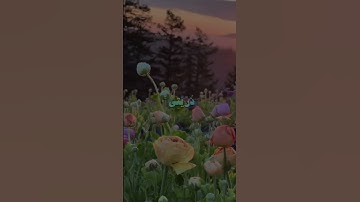 اكتب شي تؤجر عليه 🤍🍂#المنشاوي #قرآن #اكسبلور #تلاوة_خاشعة #قران_كريم