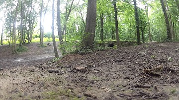 Traxxas Rustler VXL and Hpi E-firestorm FLux with GOPRO