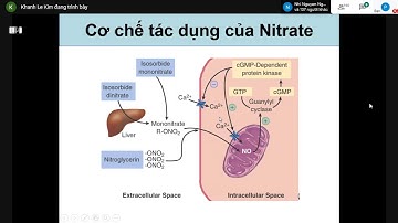 Bài 11 Thuốc điều trị đau thắt ngực P1  Cô Khánh