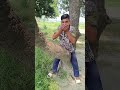 #hero#Splendor#aam ka ped#kaisa laga Mera video#👌🌲🏍️