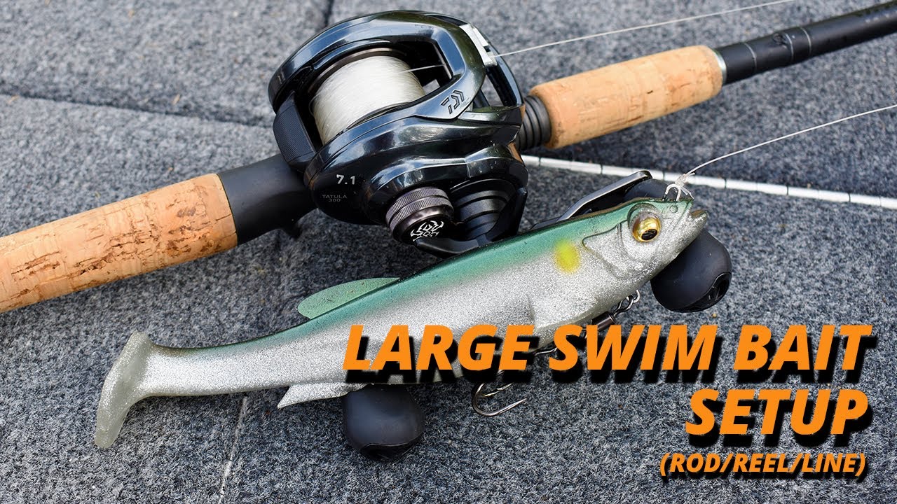 Large Soft Body Swim Bait Setup (Rod/Reel/Line)