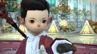 Eorzean Wedding FFXIV Heirall and Ngozi