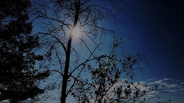 Iphone 8 Plus + Zhiyun smooth Q