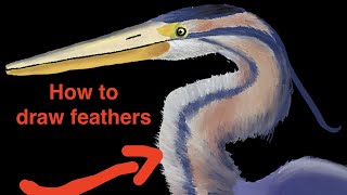 How to draw feathers digitally (Procreate, No special brush required)