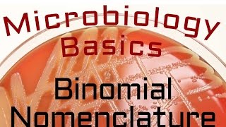 Binomial nomenclature : Microbiology Lectures