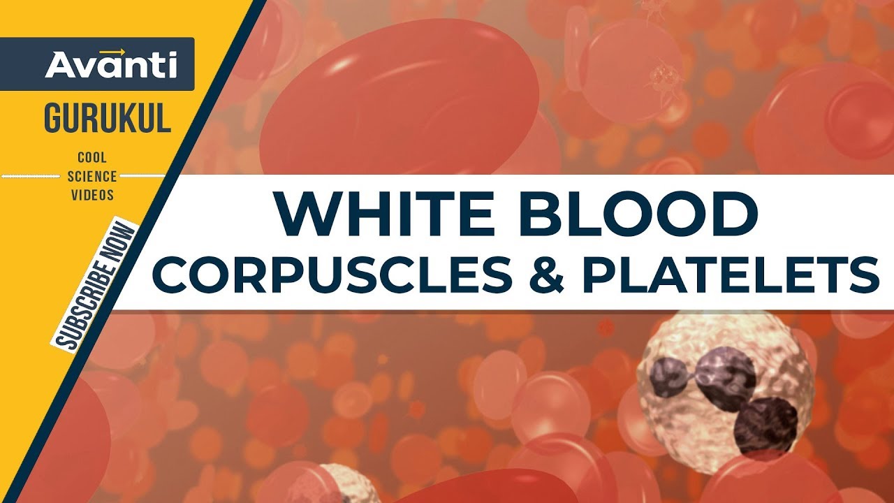 colorfully circulating white