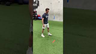 Dynamic quad stretch w/ SL RDL