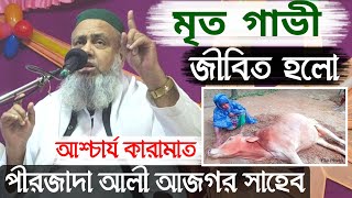 মৃত গাভী জীবিত হলো আশ্চার্য কারামাত || পীরজাদা আলী আজগর সাহেব || Pirzada Ali Asgar Saheb Notun Waz