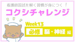 【Week13 必修 脳・神経 編】コクシチャレンジ ～看護師国試を解く習慣が身につく！～