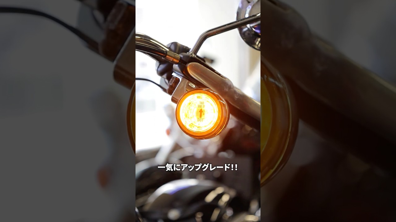 Harley Davidson フロント・シグネチャーLEDターンシグナルインサート