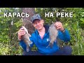 Рыбалка на Северском Донце. Мой рекордный карась на фидер!