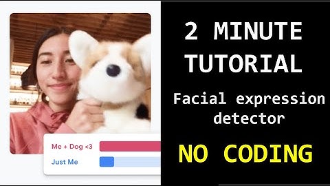 Easier machine learning project ever: facial expression recognition (NO CODING)