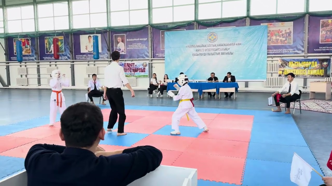 Каратэ киокуашинкай Кан 