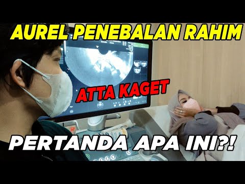 Video: Penebalan Darah Pada Kucing