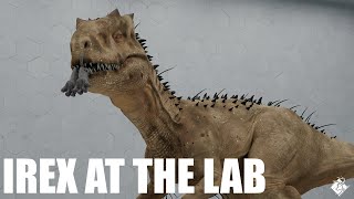 Irex At The Lab