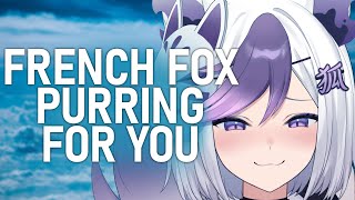 Asmrfrench Fox Purring For You