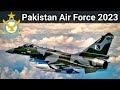 Pakistan air force  active aircraft fleet of 2023