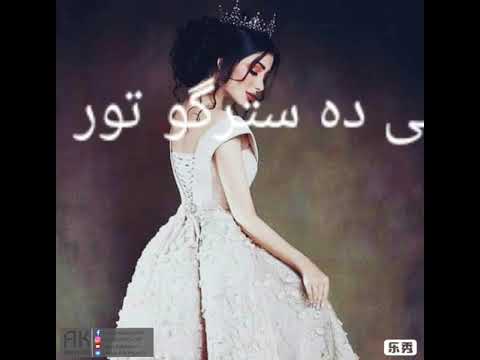 یو دوه دری سلور ته می یی ده ستگو تور