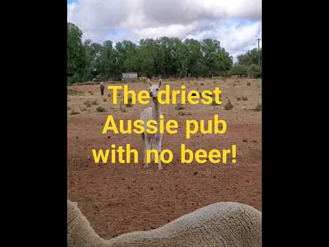 The driest Aussie