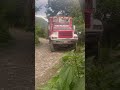 Dinastía Sánchez ✅⭕️