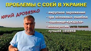 Выращивание сои в Украине с Юрий Дробязко. Кооператив фермеров United Farmers, сортоиспытания сои
