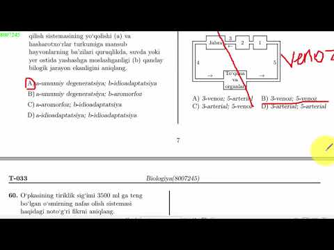 Video: Anafazada xromosomalarni nima ajratib turadi?