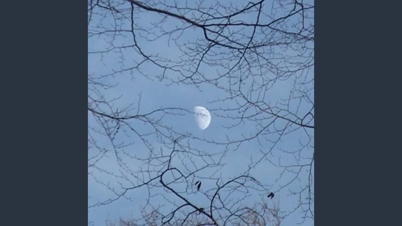 Tonton canvis di YouTube Tonton canvis di YouTube