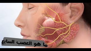 #5 ماهو I العصب السابع والطريقة الصحيحة للعلاج